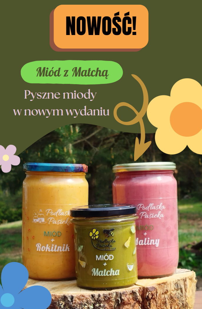 Miód z rokitnikiem matchą i malinami w słoikach stojące na desce na tle lasu